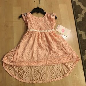 Sweet Heart Rose Toddler 3T Dress